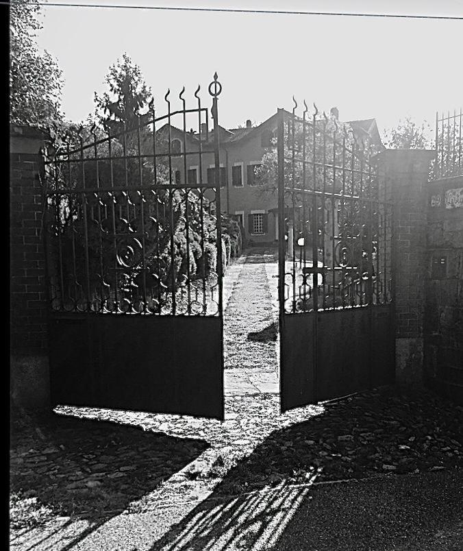 Villa Le Vignole Ameno エクステリア 写真