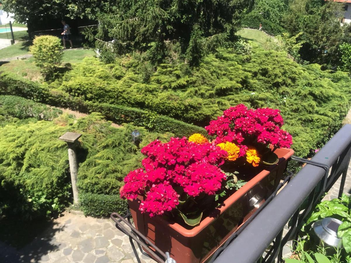 Villa Le Vignole Ameno エクステリア 写真