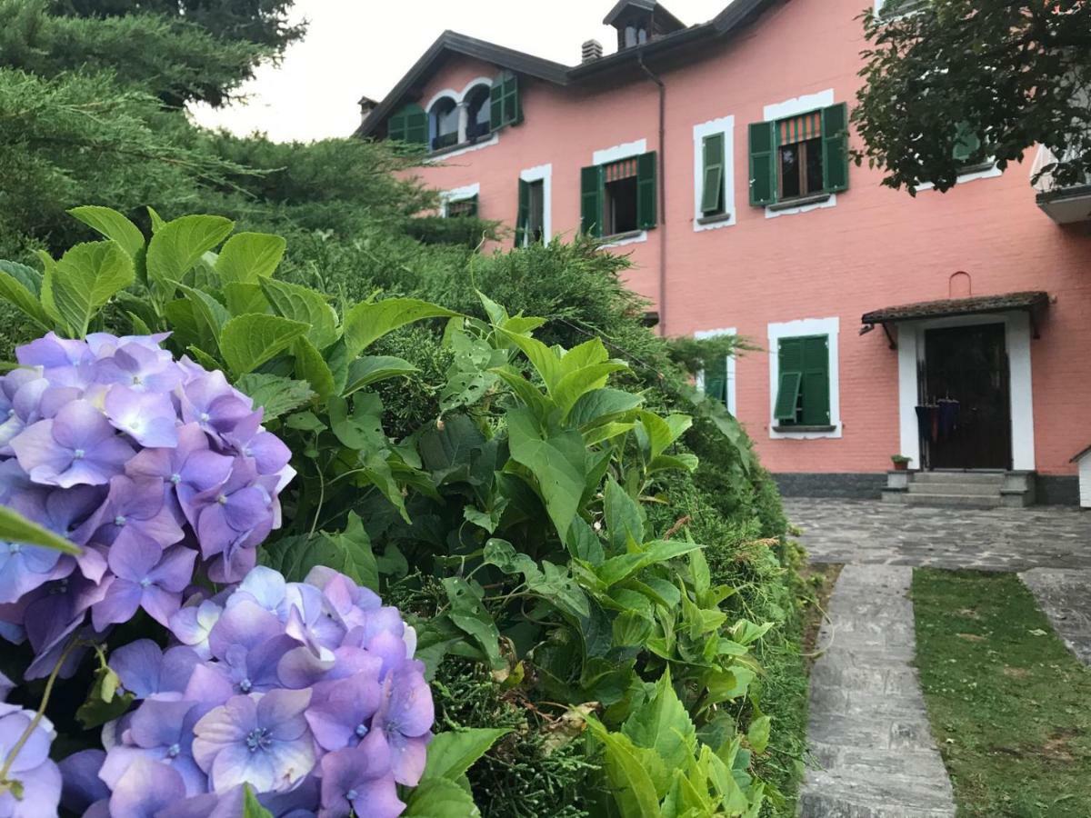Villa Le Vignole Ameno エクステリア 写真